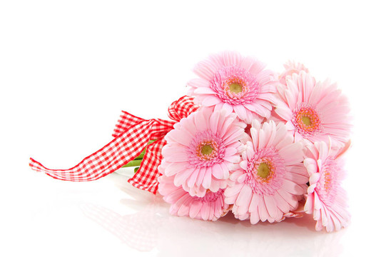 Pink Gerber的花束