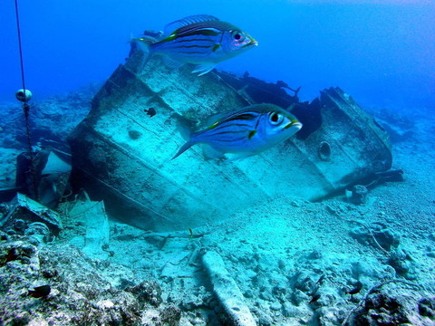 魚船