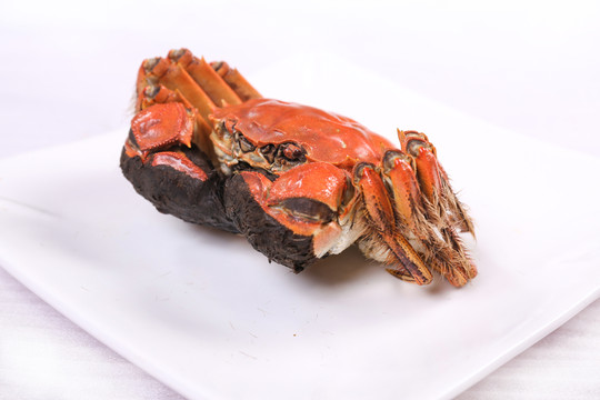陽澄湖大閘蟹