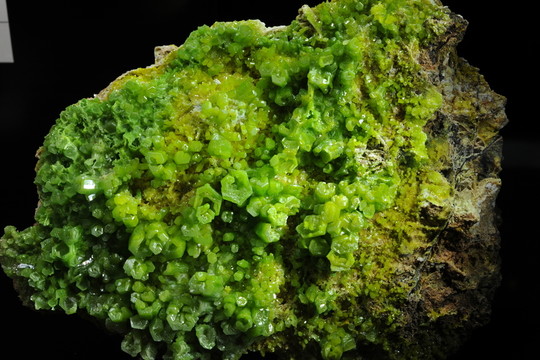 磷氯鉛礦晶簇
