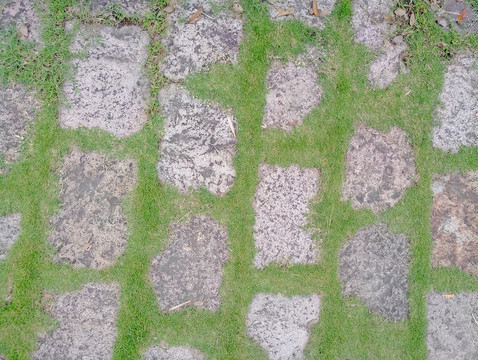 長(zhǎng)草的石頭路素材 毛石路