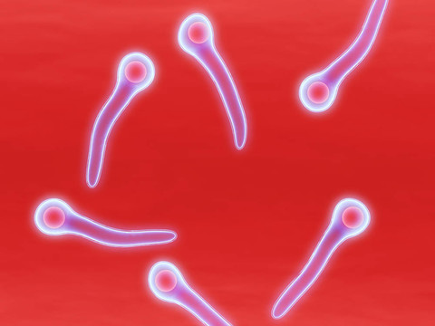 破傷風(fēng)