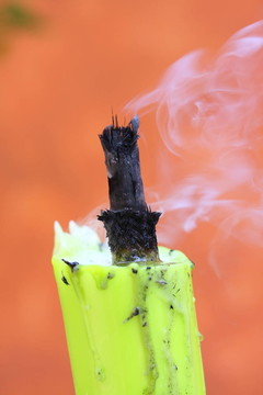 花園的火炬
