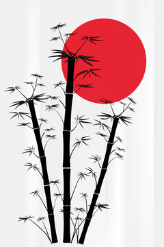 紅太陽竹