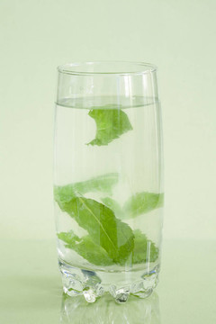水薄荷