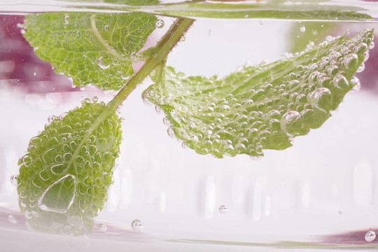 薄荷水