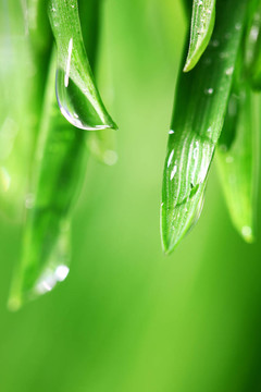 大水滴