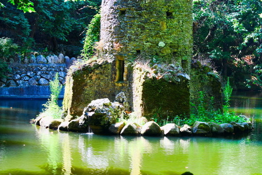 在林河
