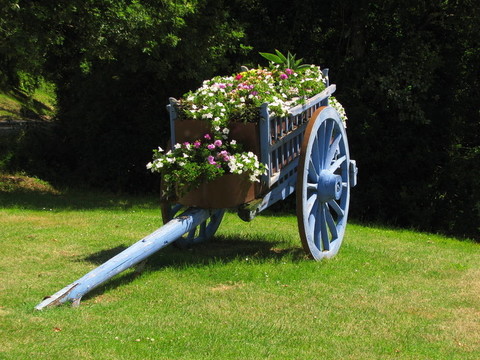 車；花