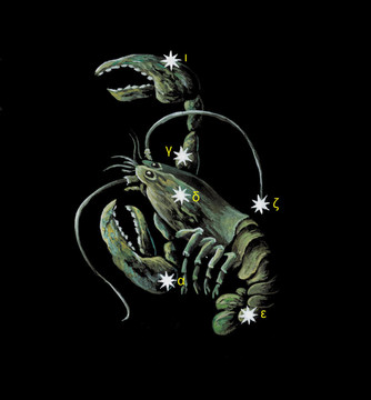 癌癥星座圖標(biāo)