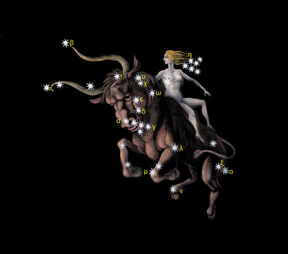 金牛星座圖標(biāo)