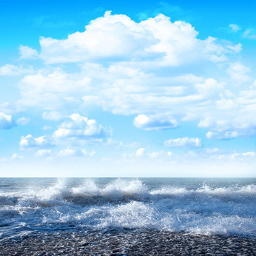 海