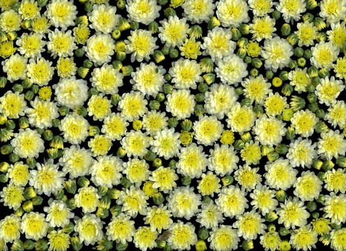 春暖花開