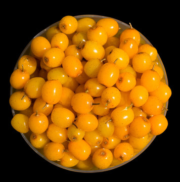 沙棘漿果2