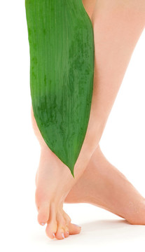 绿叶女腿
