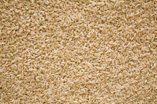 Brown Rice；中粒