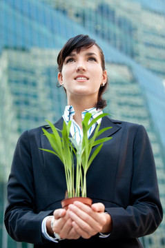 企業(yè)家與植物
