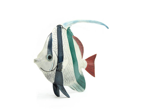 神仙魚(yú)