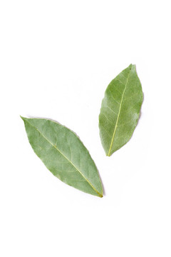 月桂樹(shù)葉