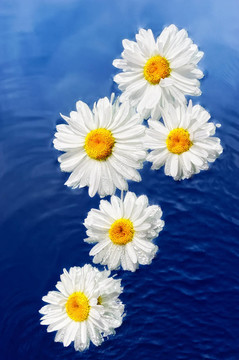 花和水