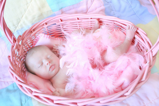 新出生的嬰兒