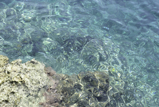 海
