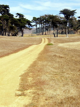 土路
