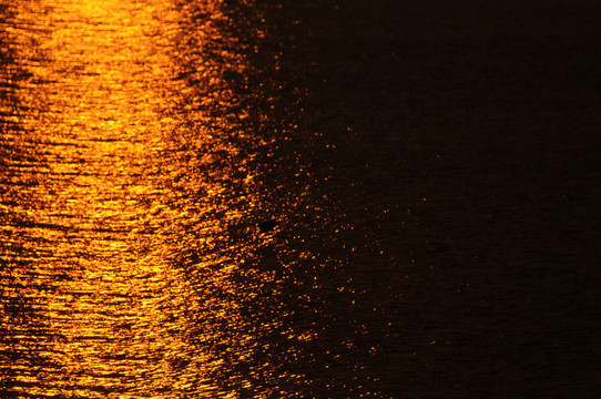 ripply 4