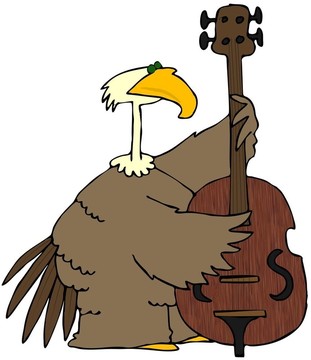 鳥彈低音吉他