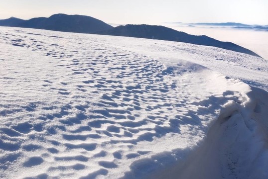 雪冬景