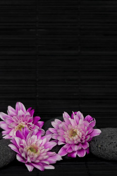 花和卵石