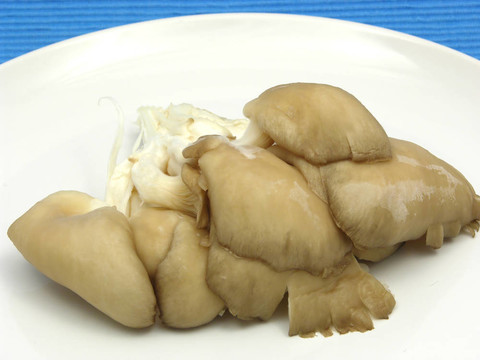 平菇在白色陶瓷板