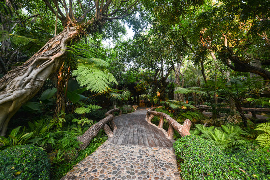 石板路的公園