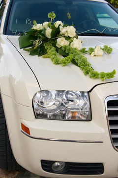 白玫瑰和豪華轎車