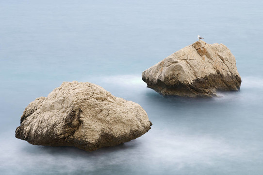 在平静的海面上两岩石和海鸥