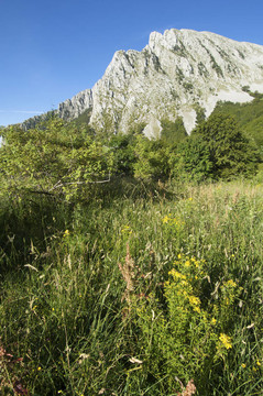 巖石山