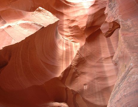 Canyon曲線