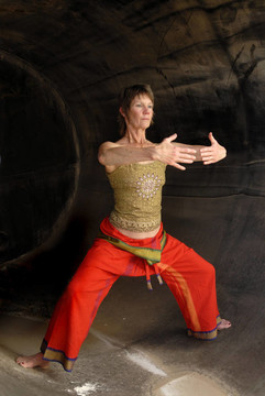 高級(jí)女動(dòng)力