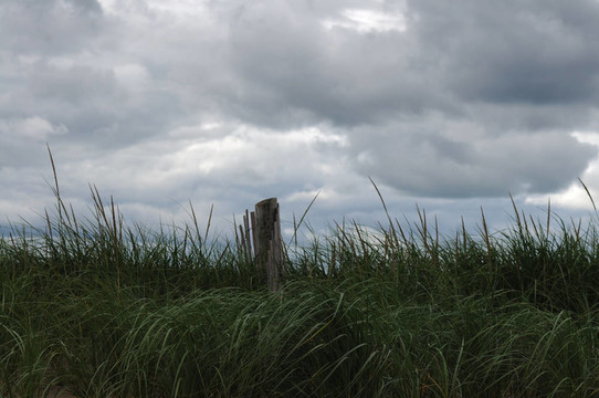sandfence3
