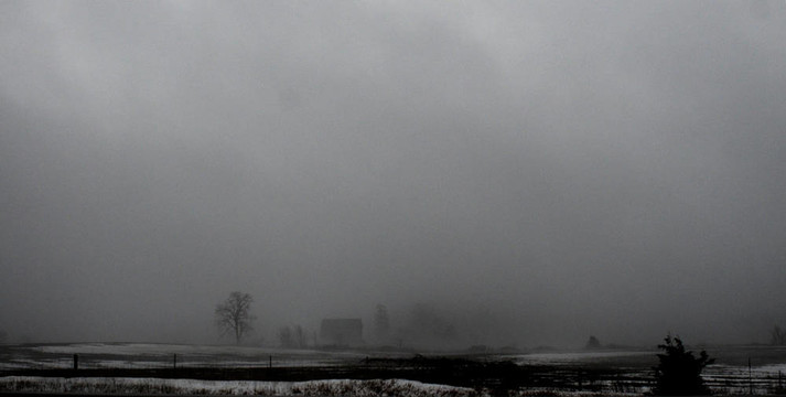 fogfarm1