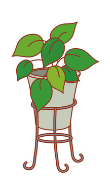 一壺植物