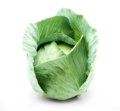 甘藍頭