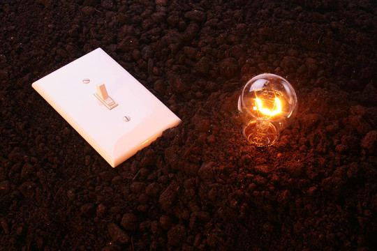 電燈泡
