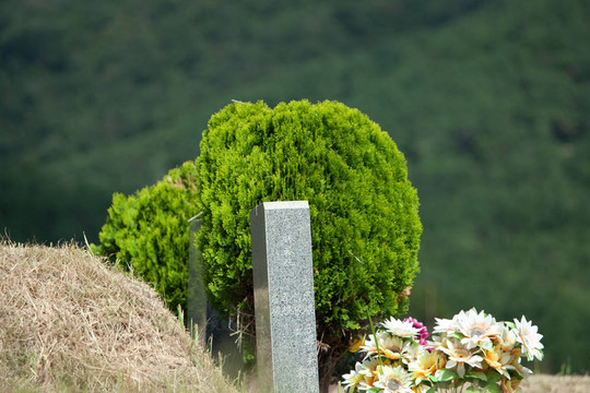 公墓