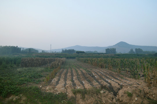 農(nóng)田