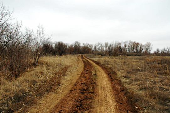 農(nóng)村公路