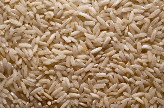 Rice顆粒