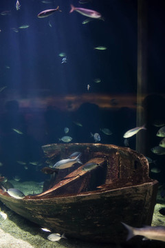 水下場景