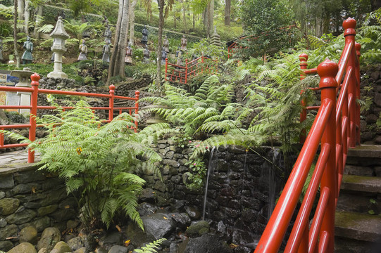 用植物園