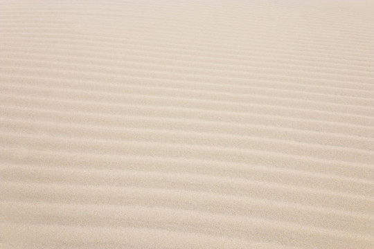 沙丘